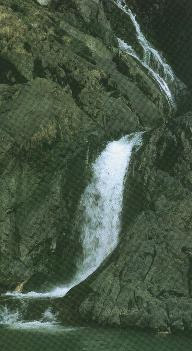 Dudhsagar falls