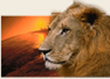Sasan Gir Lion Sanctuary