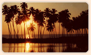 A Kerala sunset