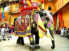 A decorated elephant in Jaipur