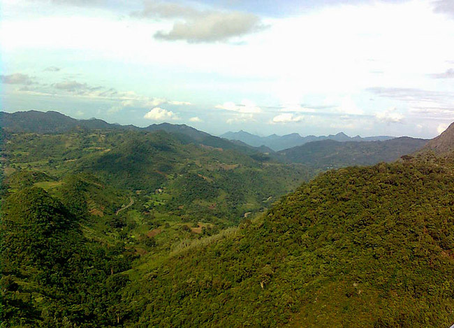  ARAKU  VALLEY, VIEW FROM  VISAKHA PUTNAM