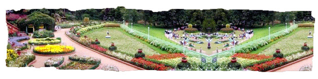  Botanical Gardens: Ooty
